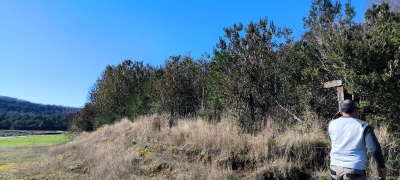 CentroCasas.cl Venta de Parcela en Panguipulli, EL MONGE